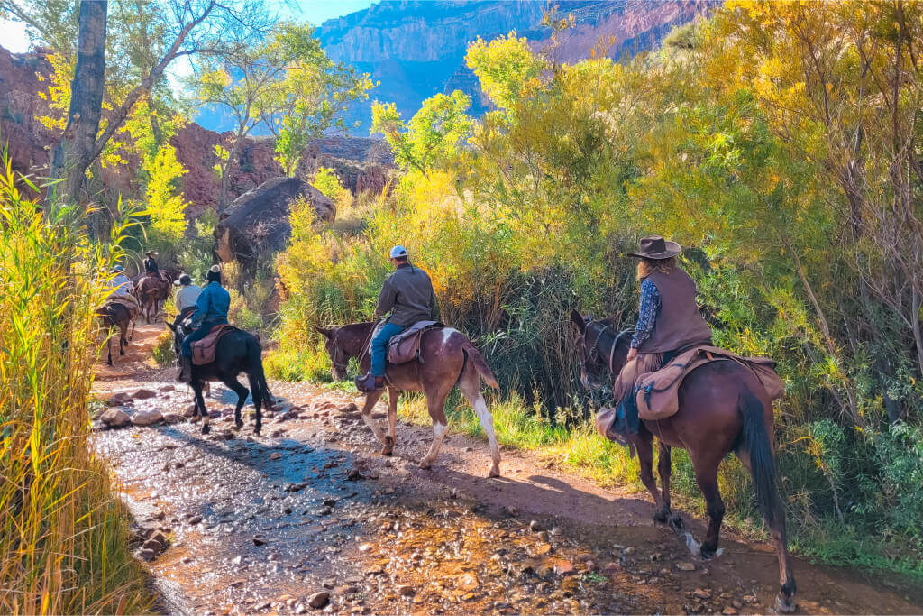 How to Visit Phantom Ranch - Grand Canyon’s Most Epic Place to Stay (A ...