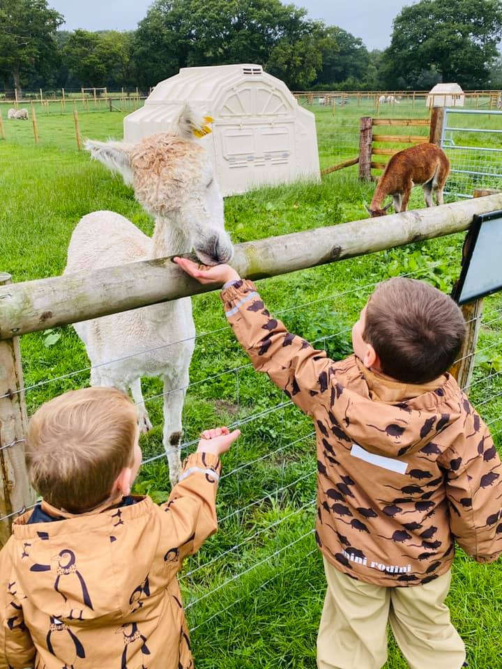 Attwell Farm Park Redditch
