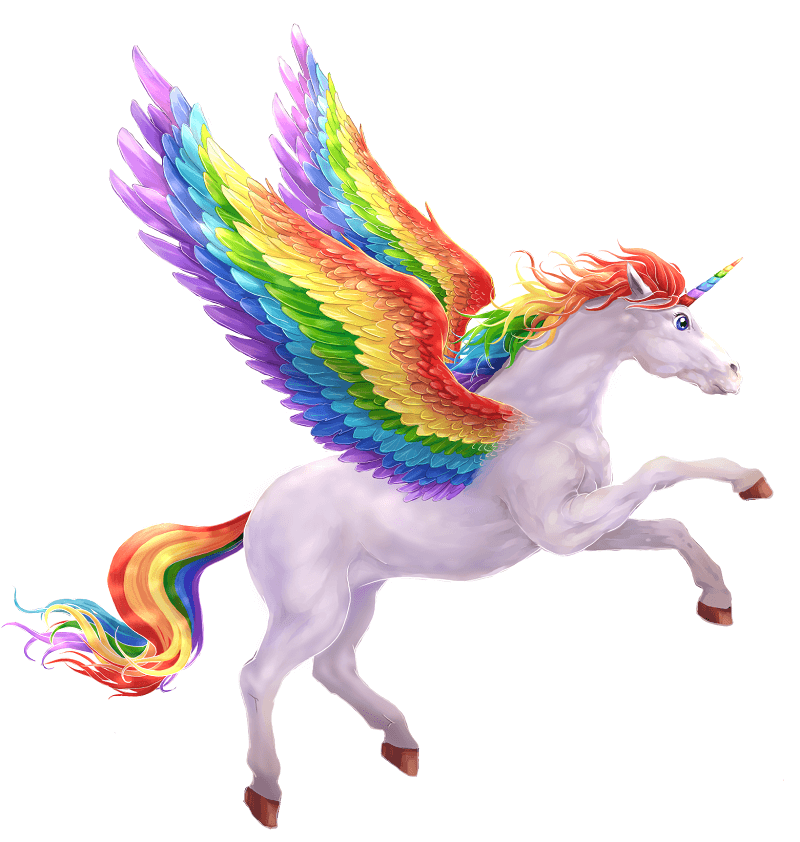 Rainbow unicorn