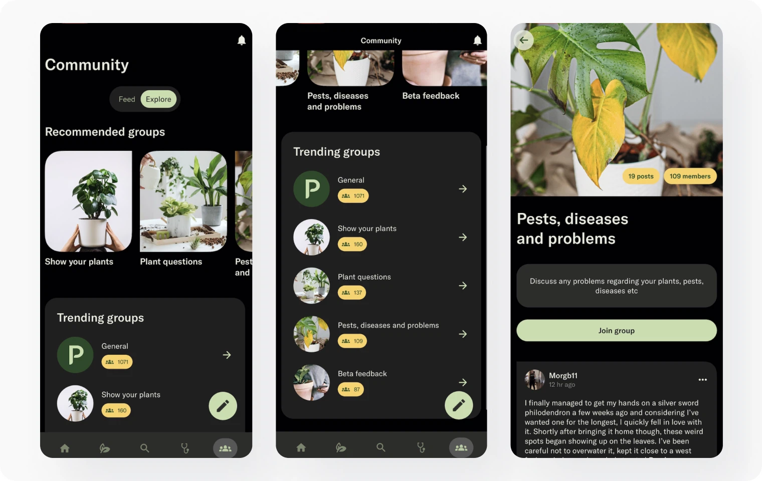 Discover how Planta uses Amity Social Cloud to connect and innovate