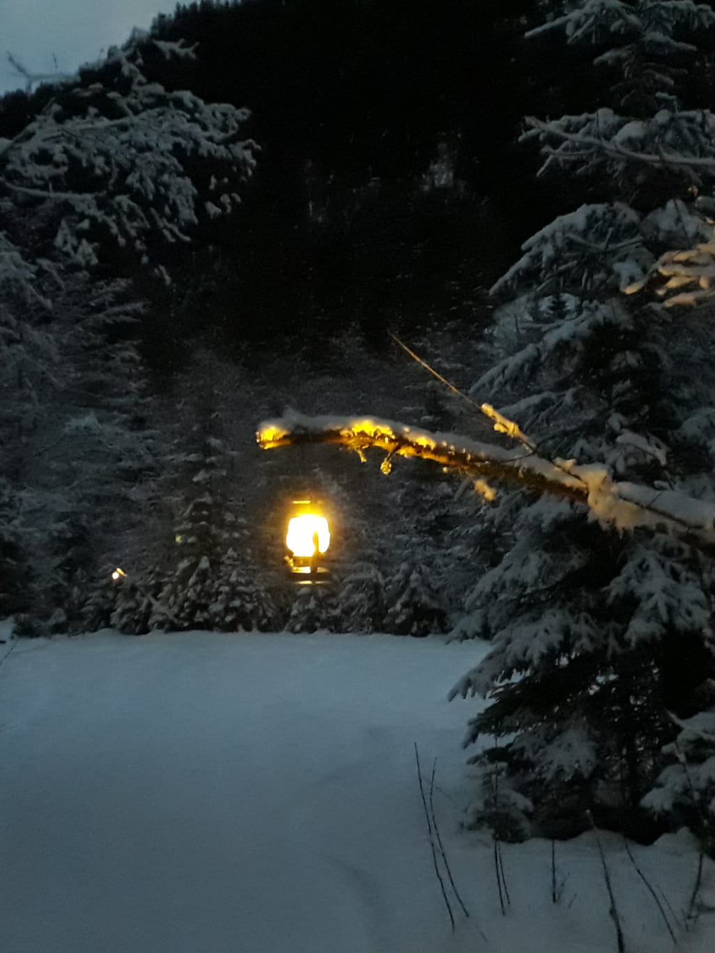 Oben Sterne, unten Laterne..