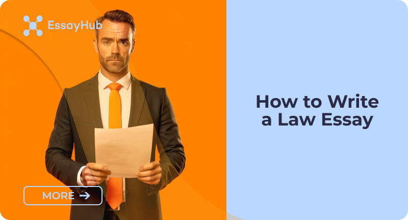 How to Write a Law Essay