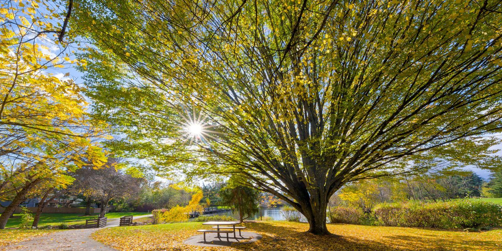 Beaverton, OR