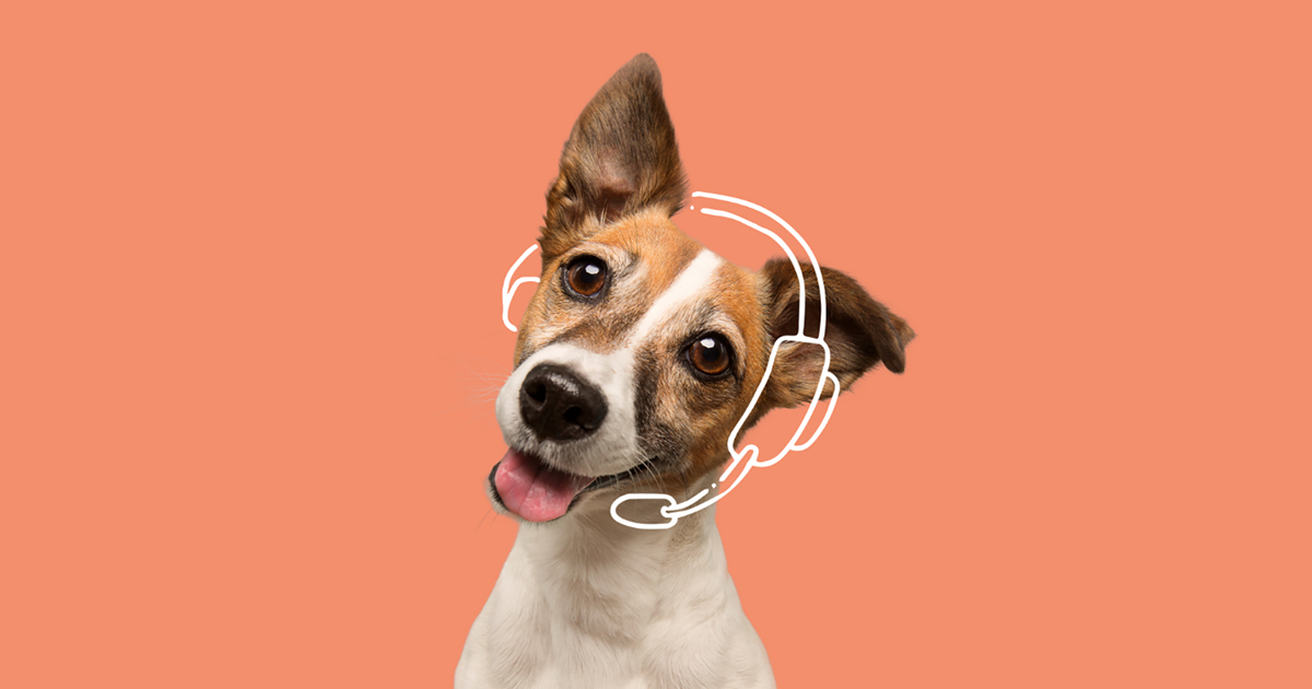 petplan-help-center