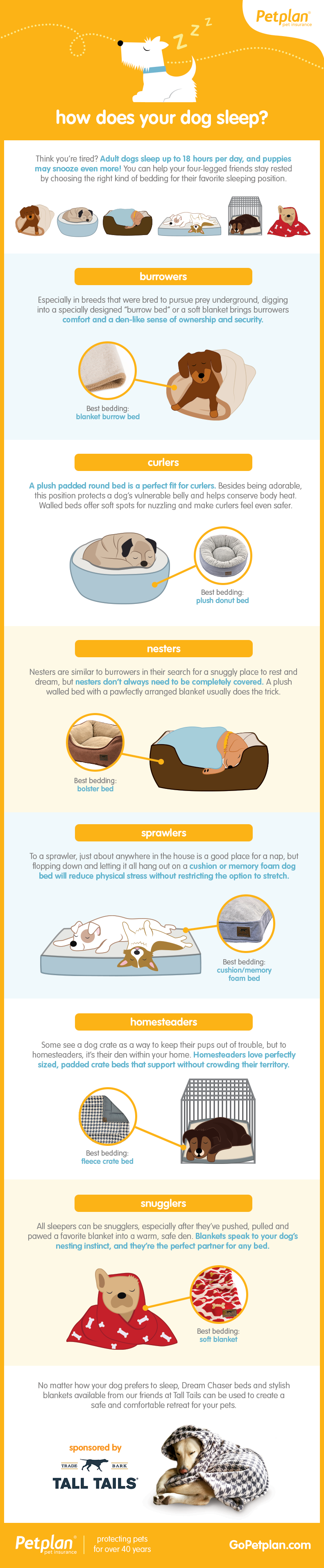 How to choose the bed dog bed infographic | Sponsored by Tall Tails