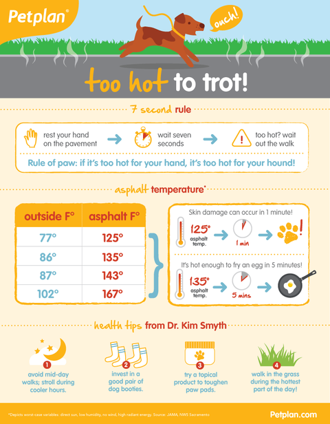Too hot to trot: Hot pavement dangers for pets infographic from Petplan