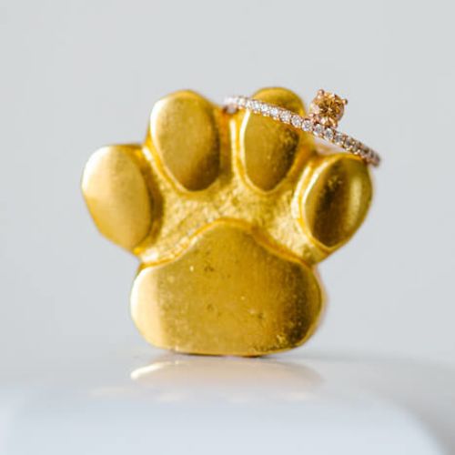 Memorial Diamonds for Pets Eterneva