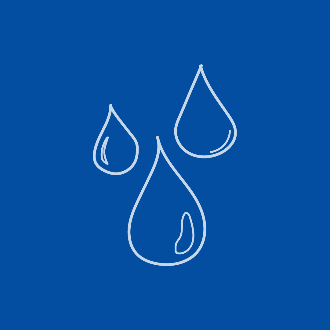 Everything You Need to Know About Water Cremation