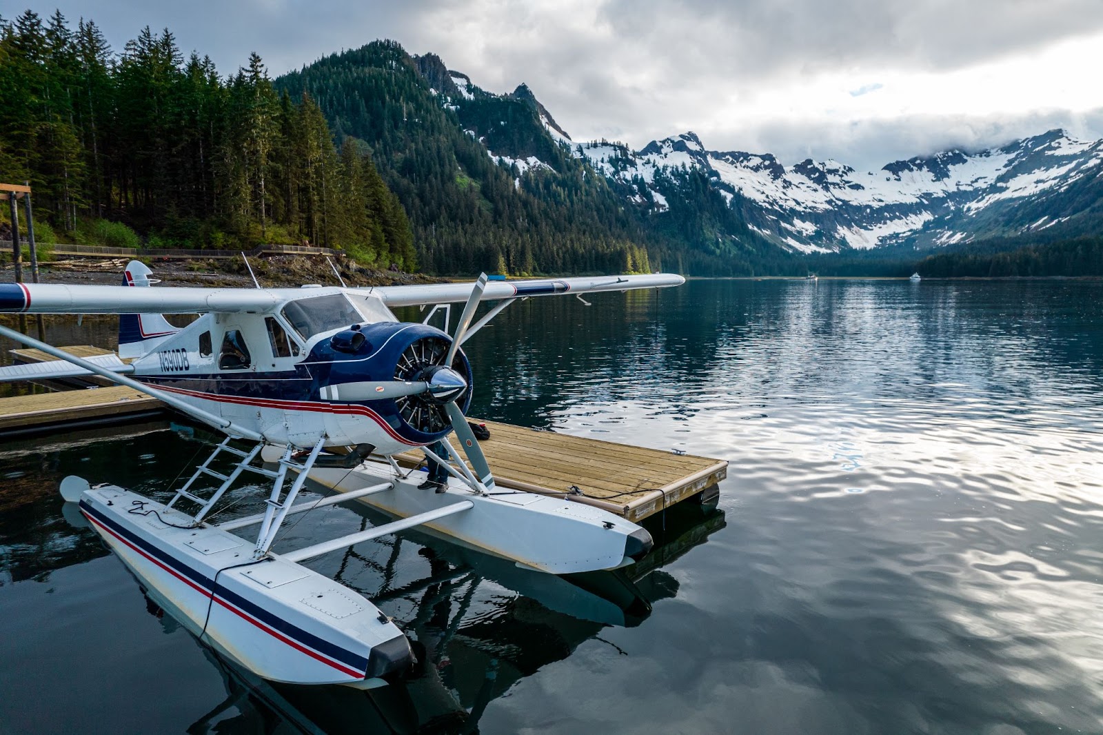 How To Ship Your Fish Home From Alaska