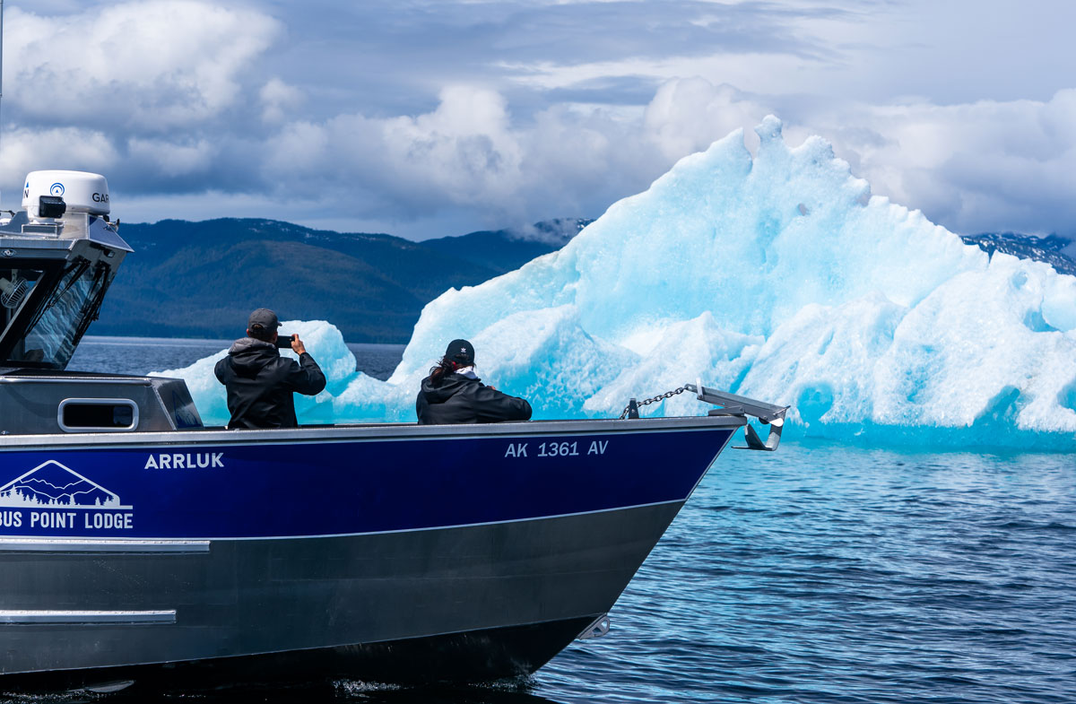 Alaska Inside Passage Cruise Vs. Pybus Point Lodge: What to Consider ...