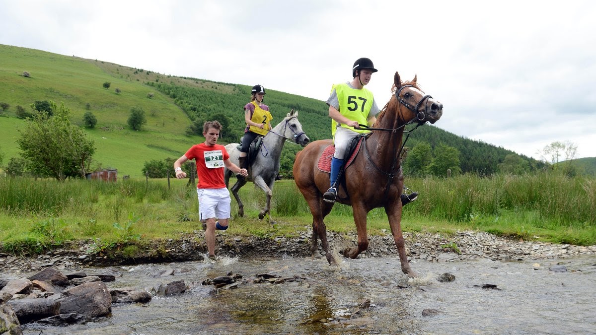 What We Learn When Humans Race Against Horses | Outside Online