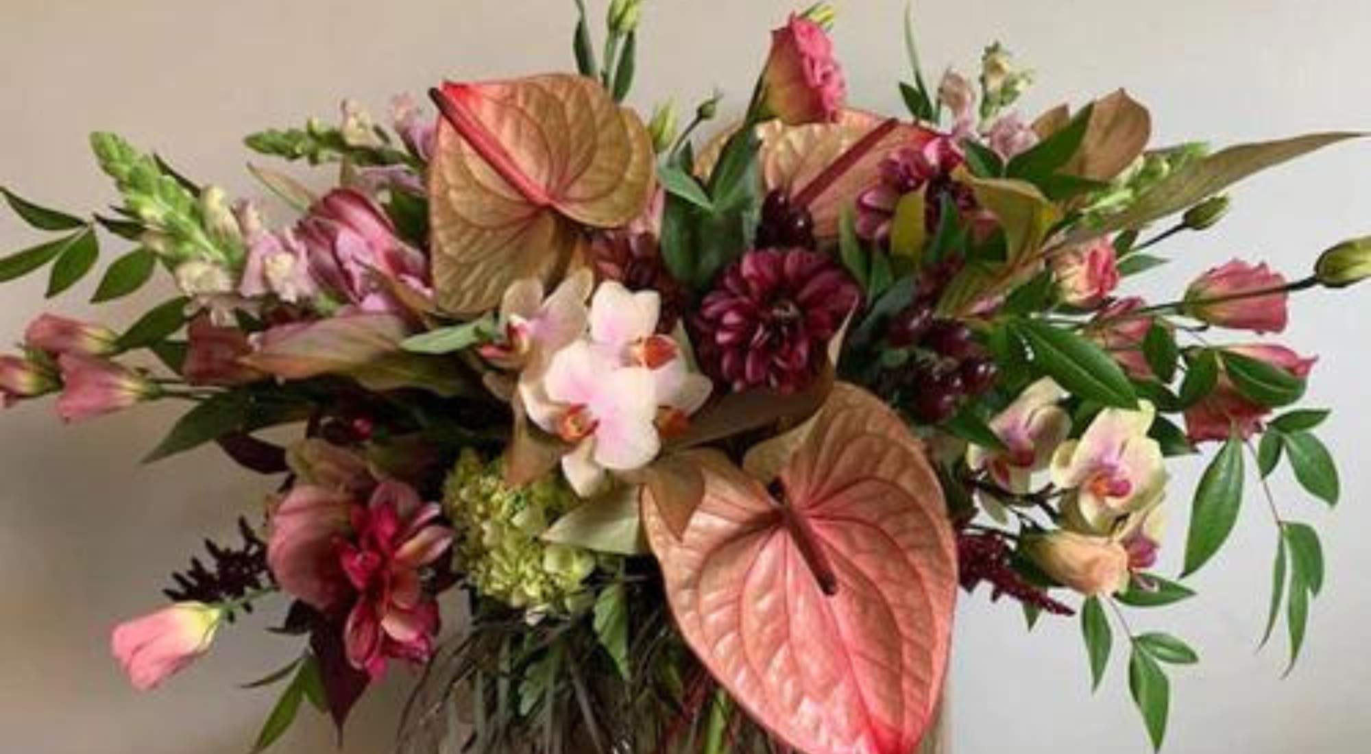 Alternative Flowers for Valentine’s Day To Make Your Sweetheart Smile