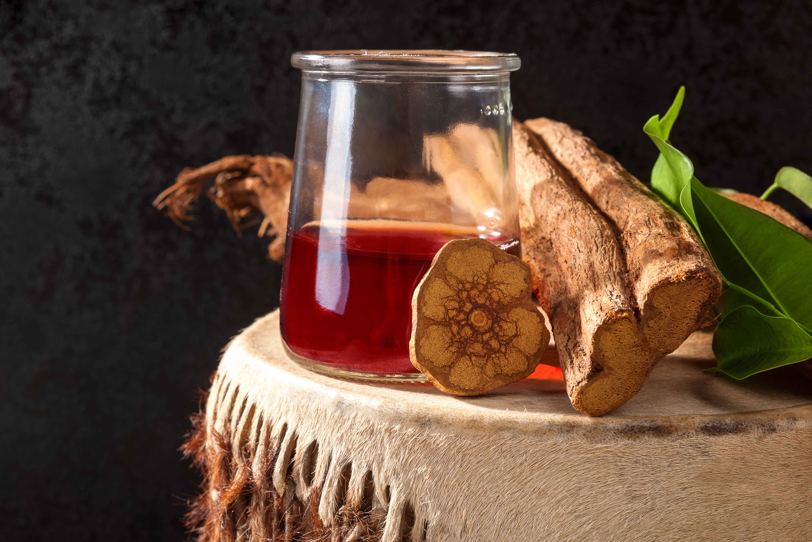 10 Best Ayahuasca Retreats 2024 (Safe & Legal)