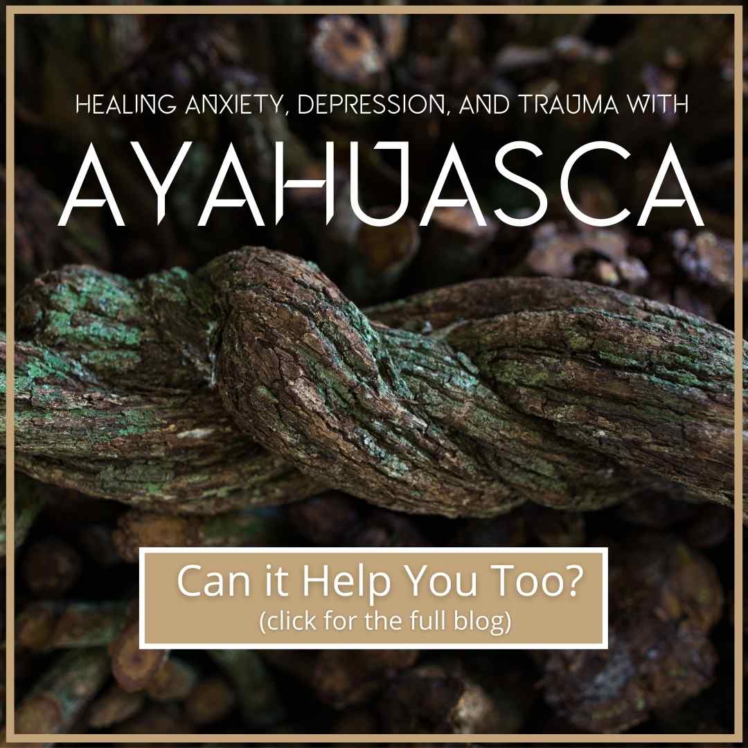 Hawaiis Controversial Ayahuasca The Law Your Safety - 5lhua75