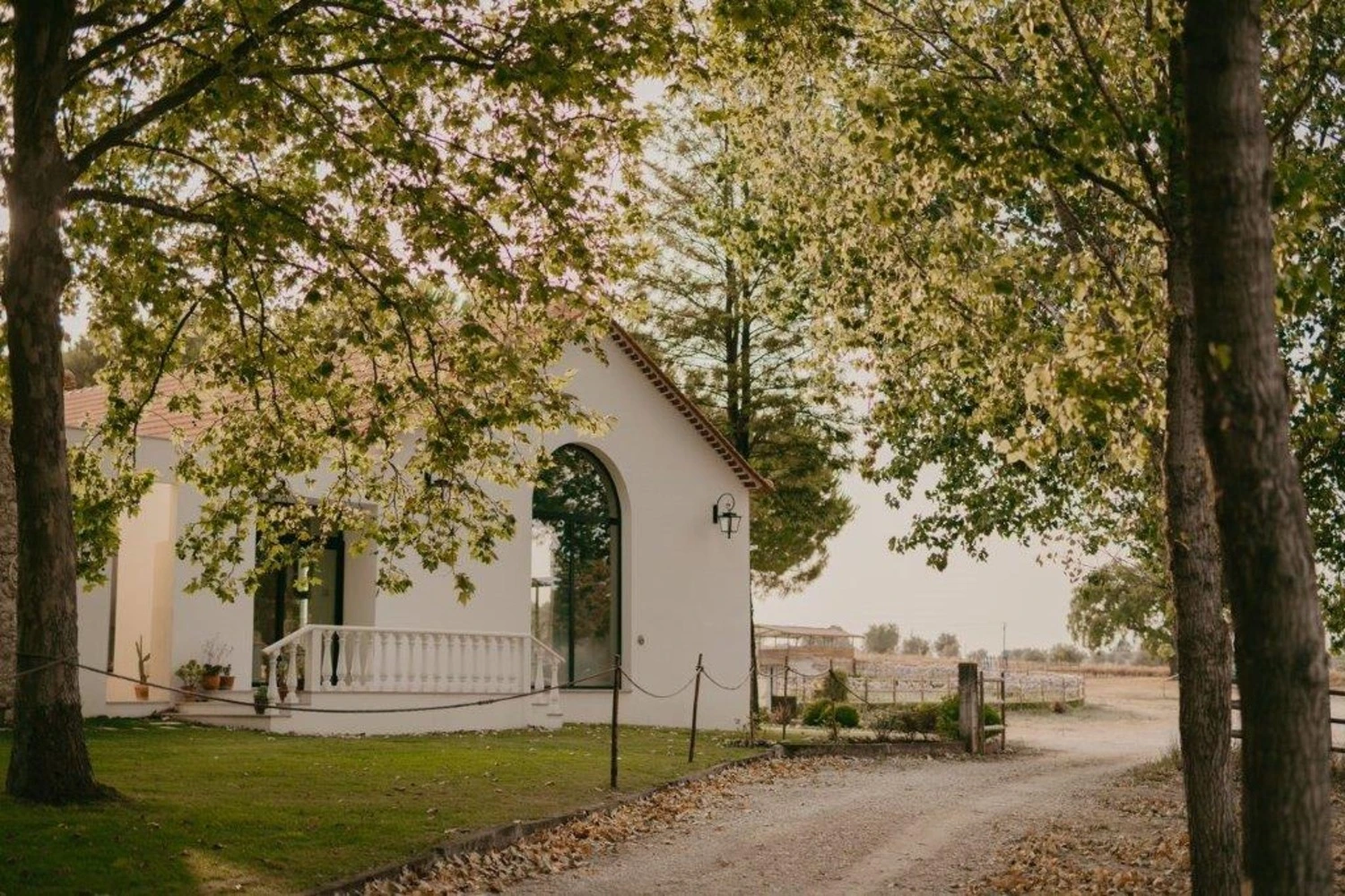 5MeODMT / Bufo Retreat in Portugal Behold Retreats