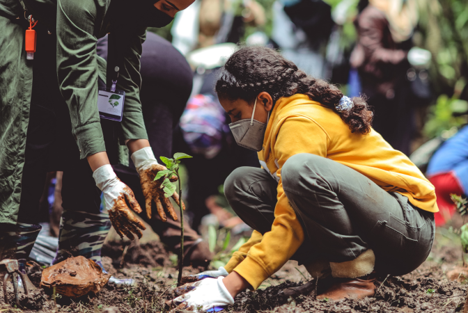 Adult and child planting a sappling