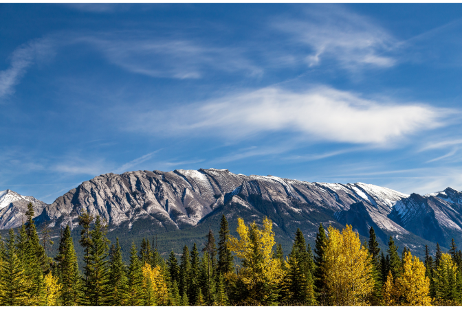 Snow capped mountain range with trees in the foreground