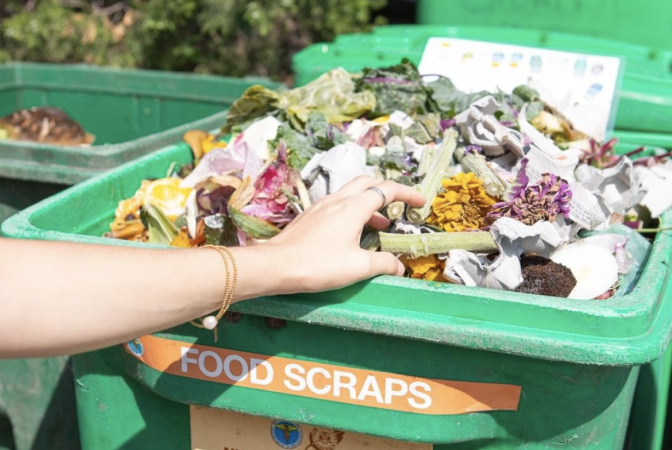 Organic waste collection bin