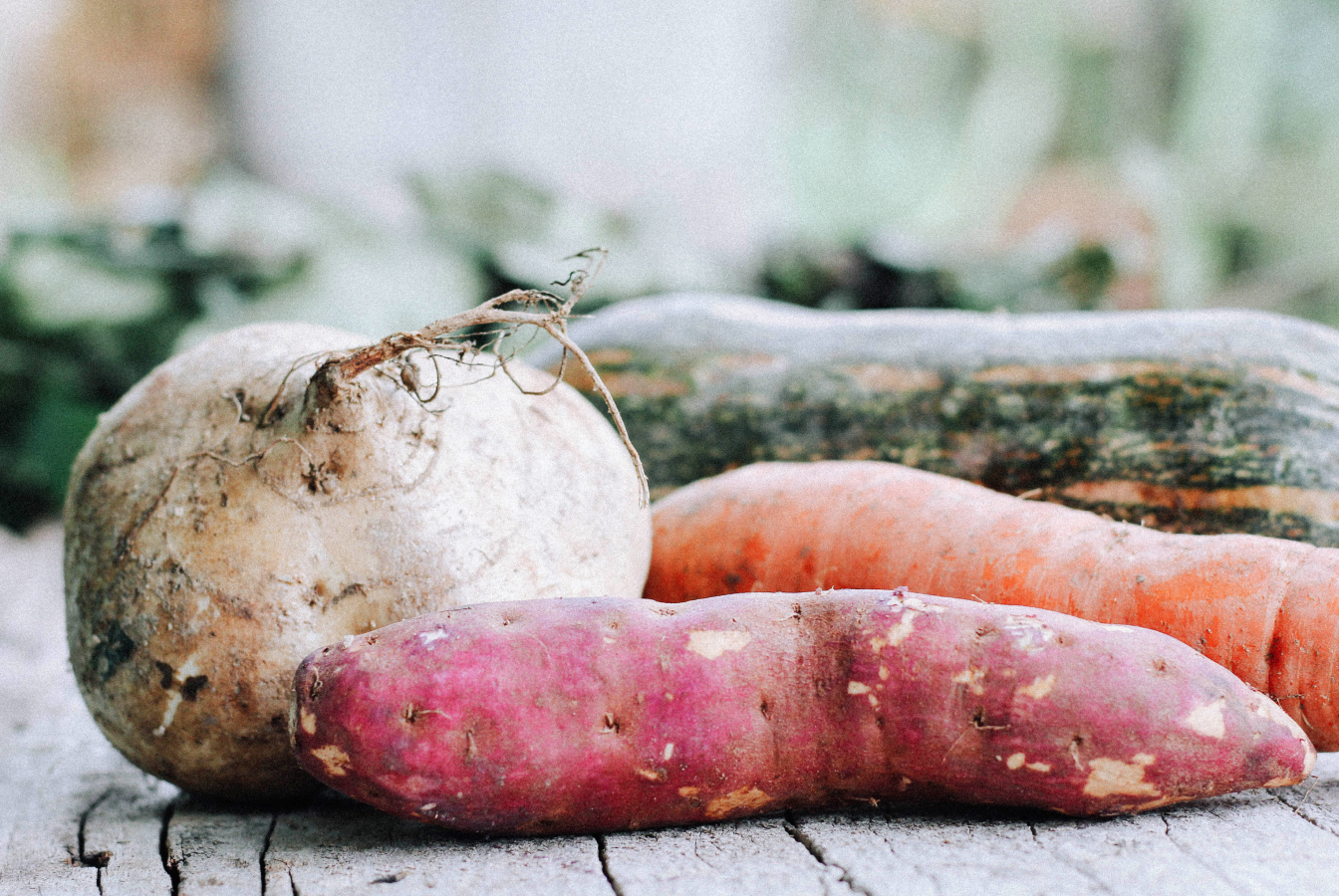 Closeup of assorted root vegetables, all of which can be consumed as part of a climate-friendly diet.