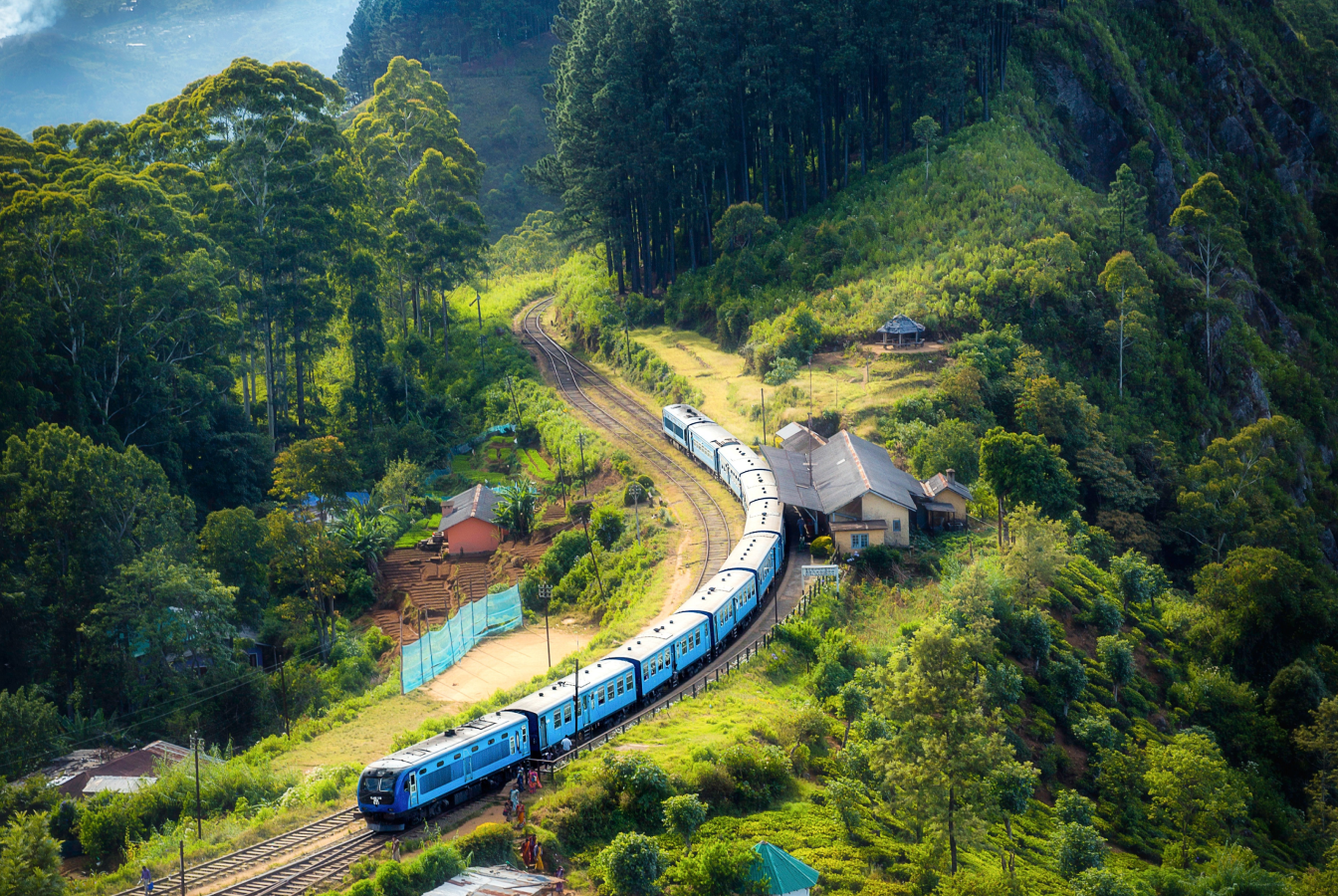 A train stopped at a station near a forest