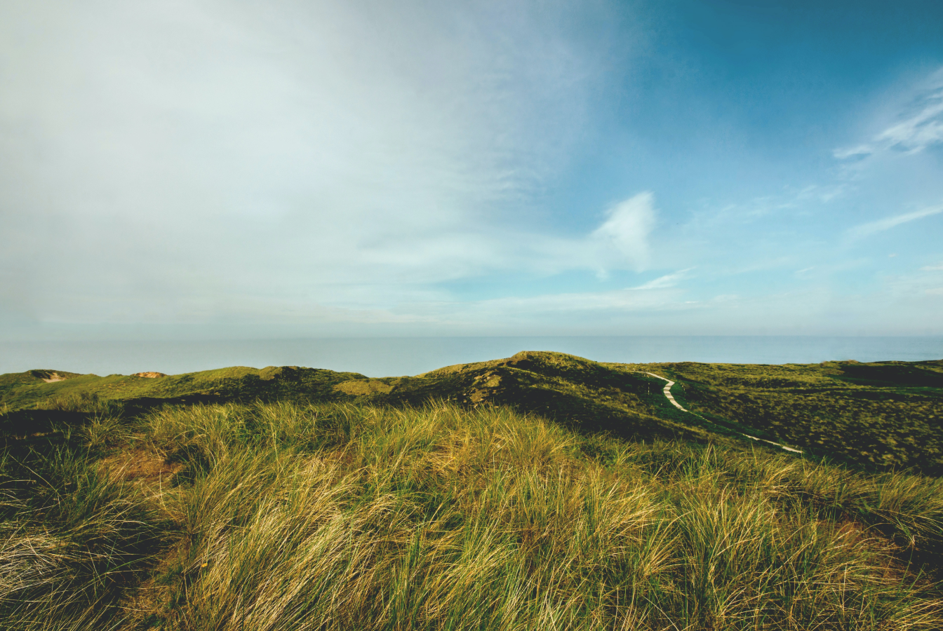 Rolling hills of lush pasture land a natural climate solution