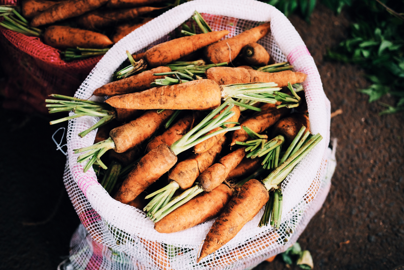 Bag of harvested carrots