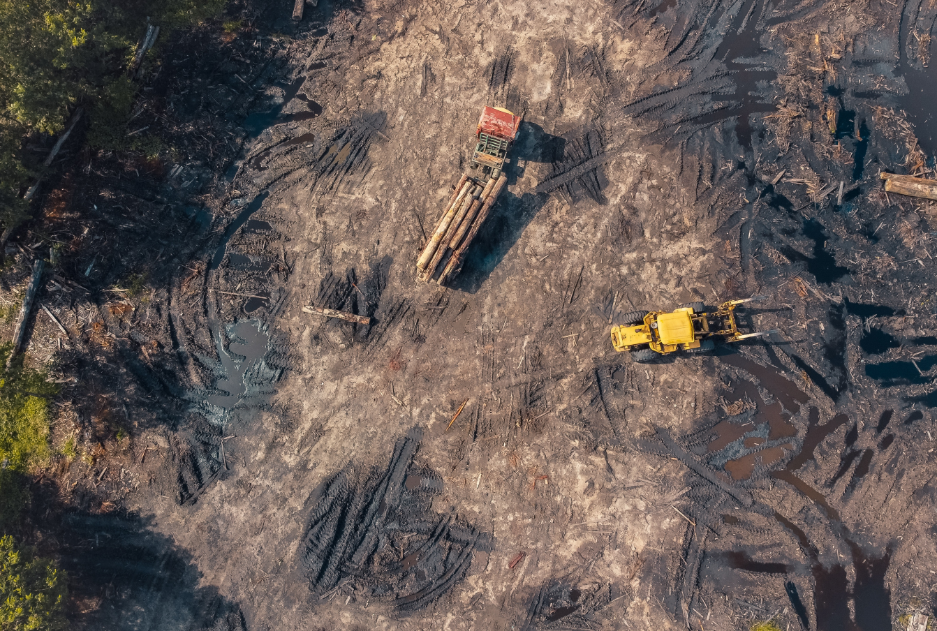 Aerial view of logging truck and tractor