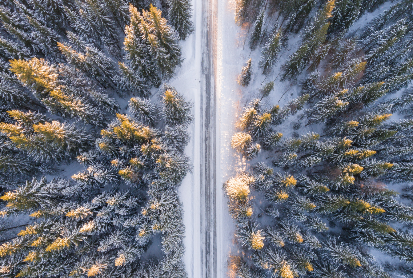 Snow covered evergreen forest and road