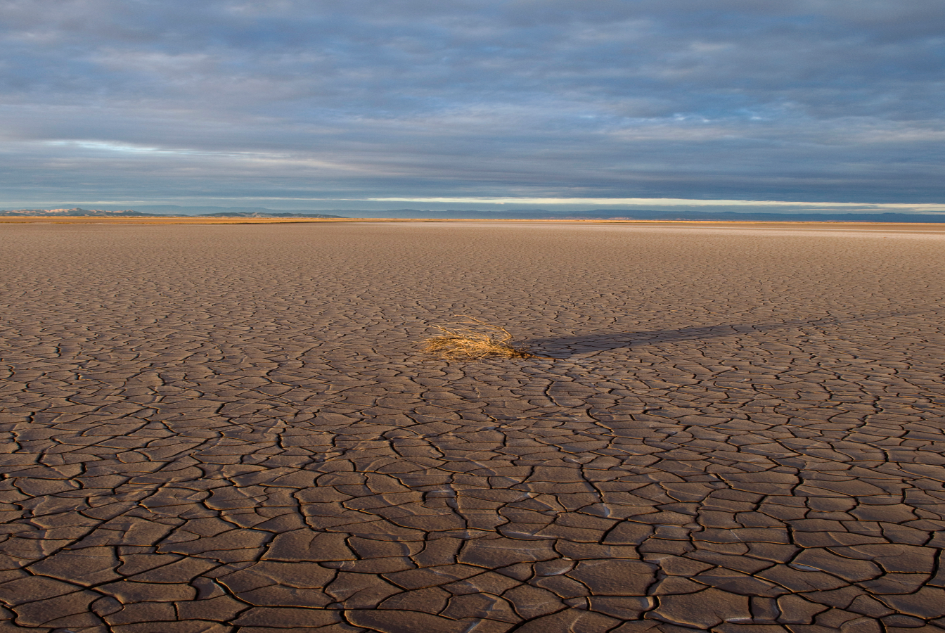 Desert landscape impacted by climate change