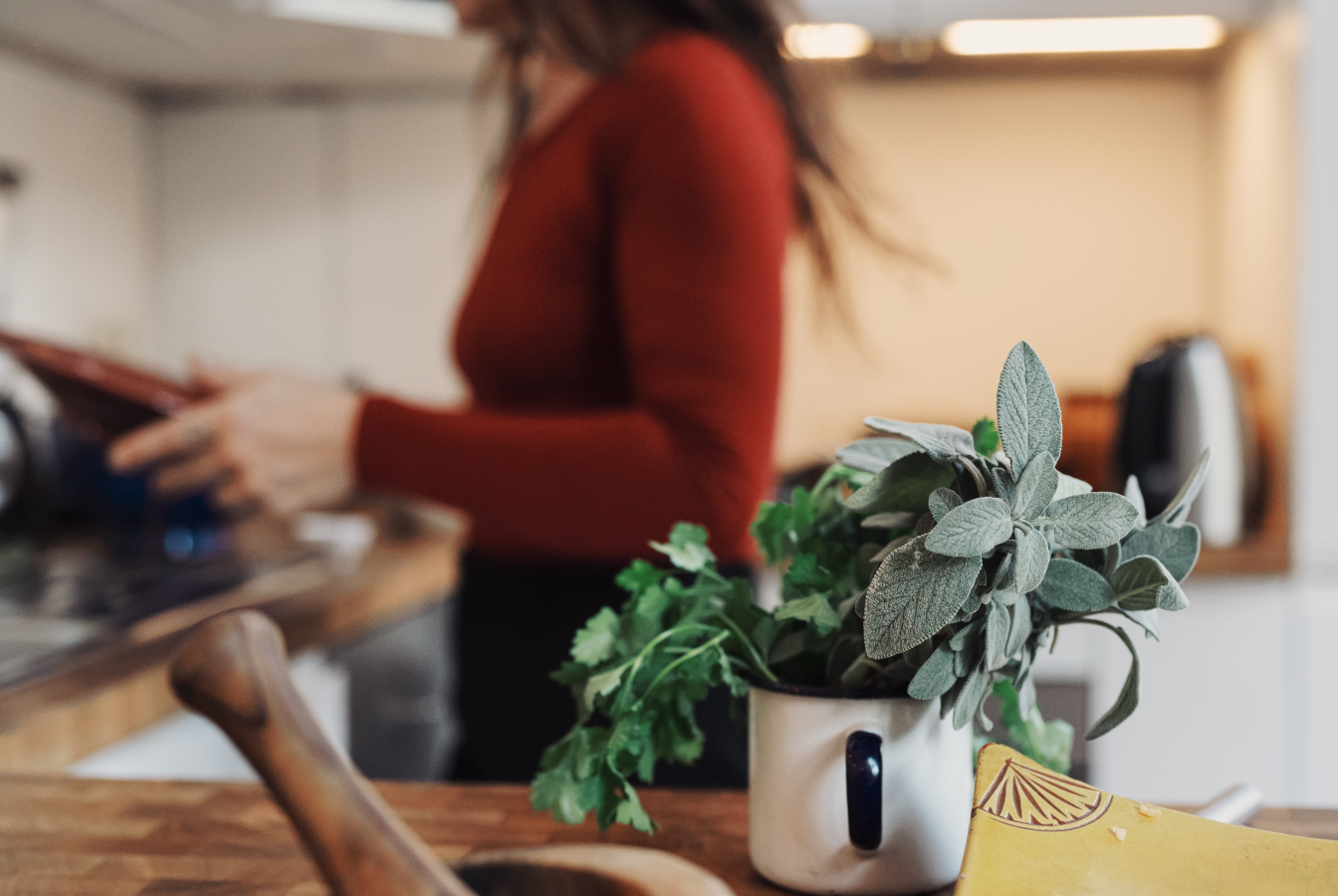 Various herbs in a cup on the counter