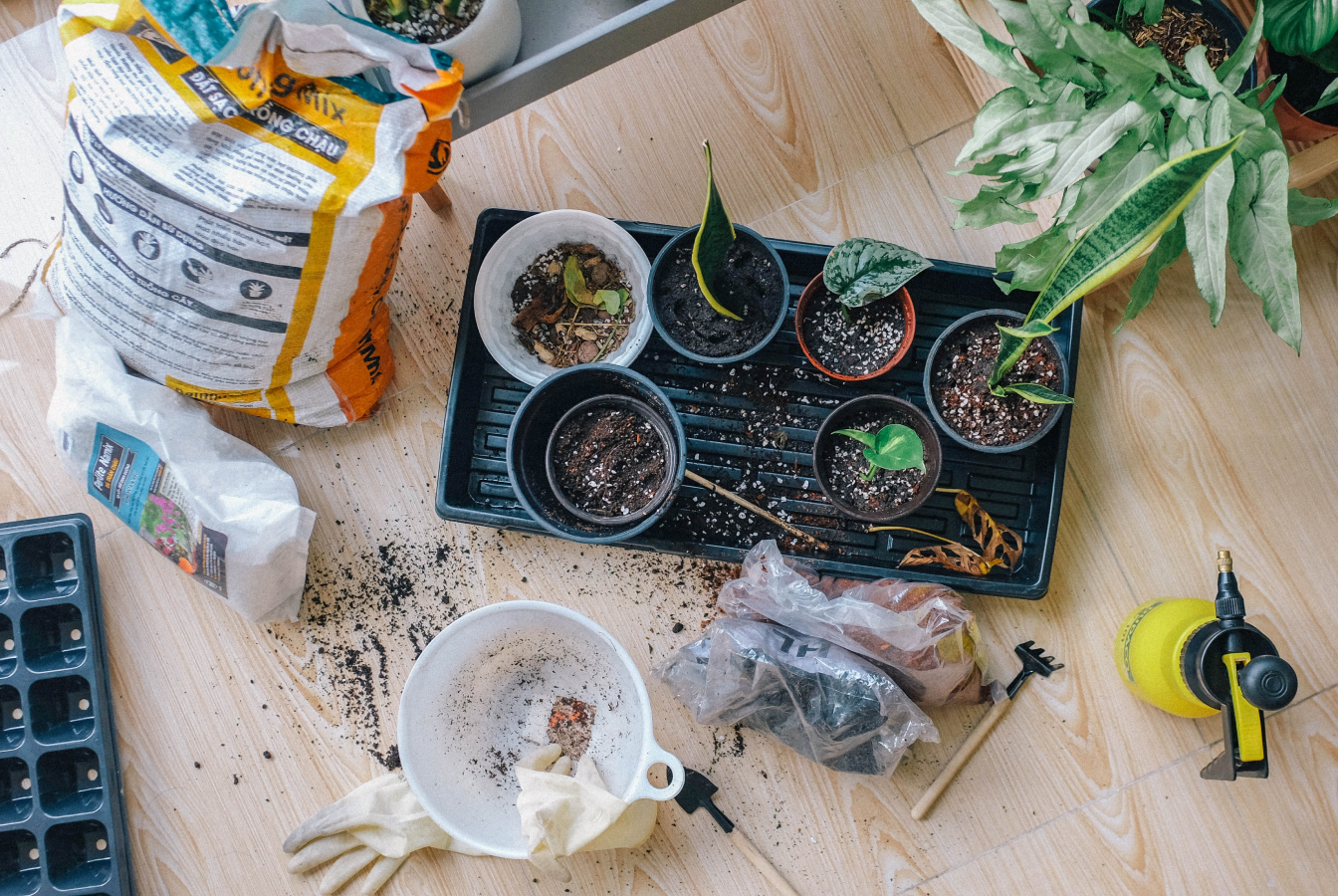 A kit to grow your own plants and herbs at home.