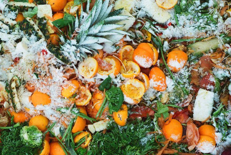 Fruits and vegetables tossed away contributing towards climate change