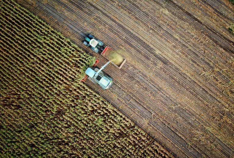 A tractor harvesting food at a farm
