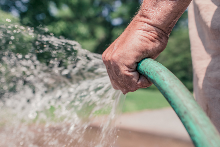 A hand holds a watering hose spraying water in the garden