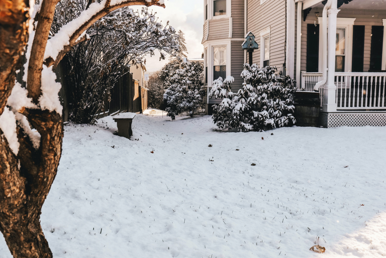 Snow covers the ground in the garden next to a large home
