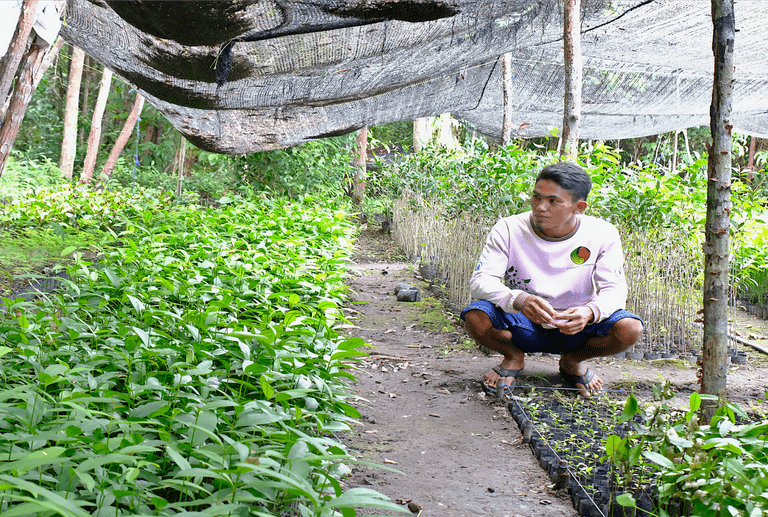 man sitting in new tree plantation