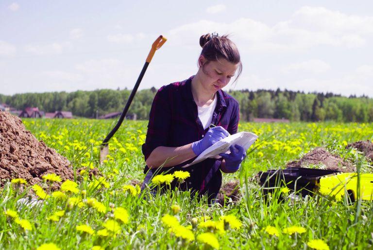 conservation scientist doing a field study