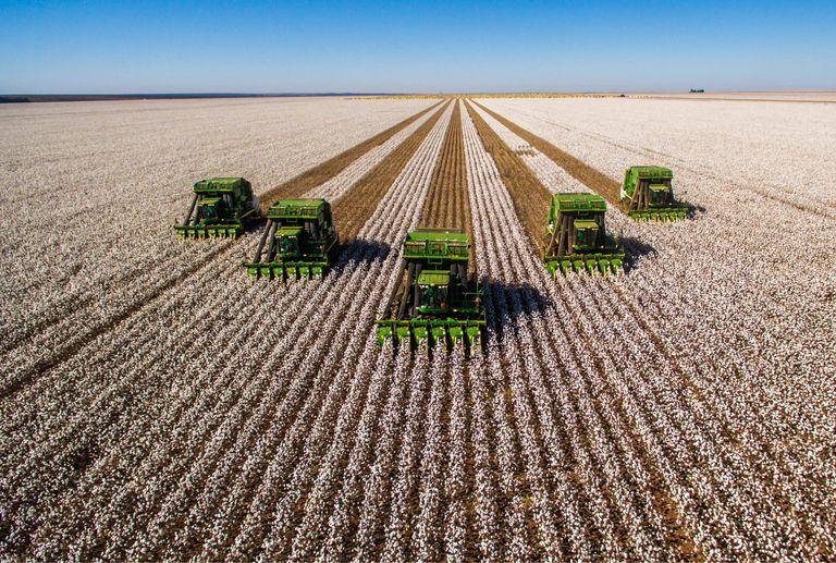 5 combines combining a field of crops