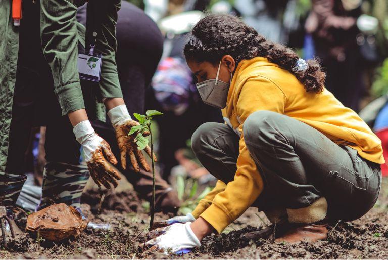A girl plants a tree in the forest as part of a verified carbon offset project
