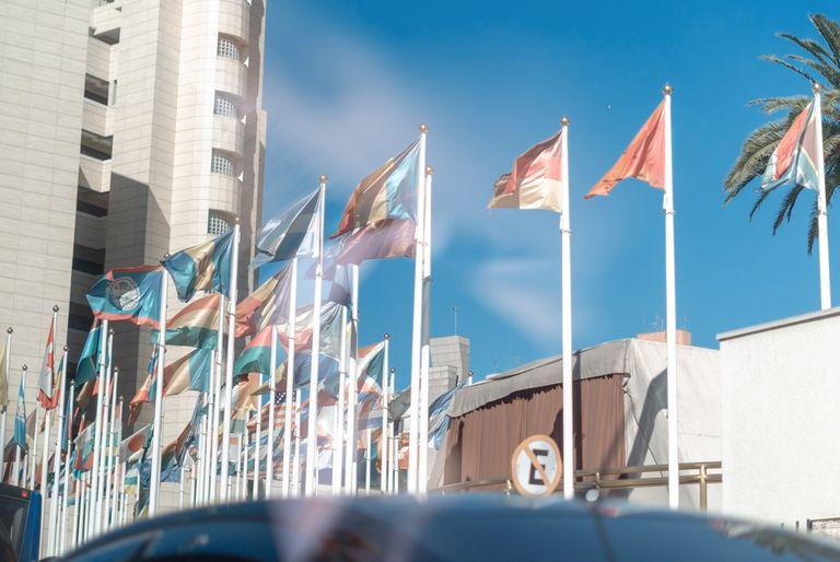 A cluster of flags outside of the United Nations headquarters.