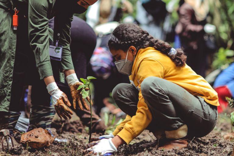 An adult and child planting a sappling, as part of a reforestation carbon offset project