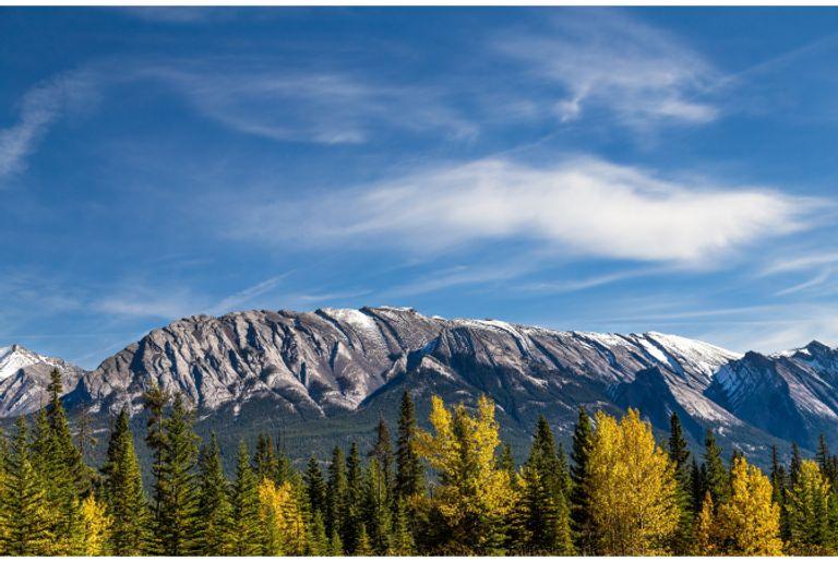 A snow capped mountain range with trees in the foreground