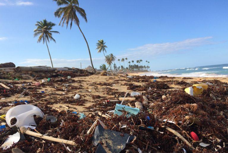 A beach covered in human waste and garbage.
