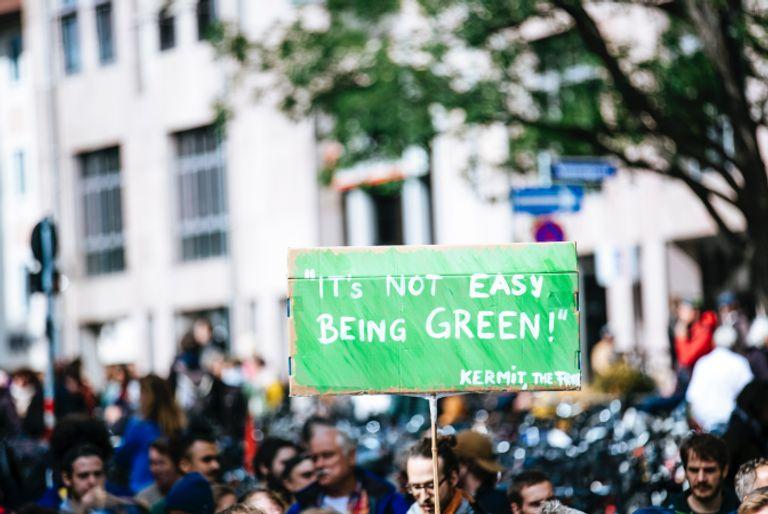Group of climate change activists that want the world to reduce it's carbon footprint. They're holding a sign that says "it's not easy being green!"
