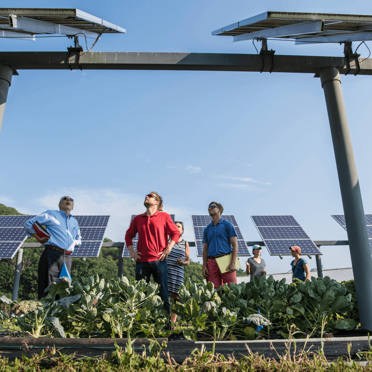 The 10 Best Jobs to Fight Climate Change | Goodside