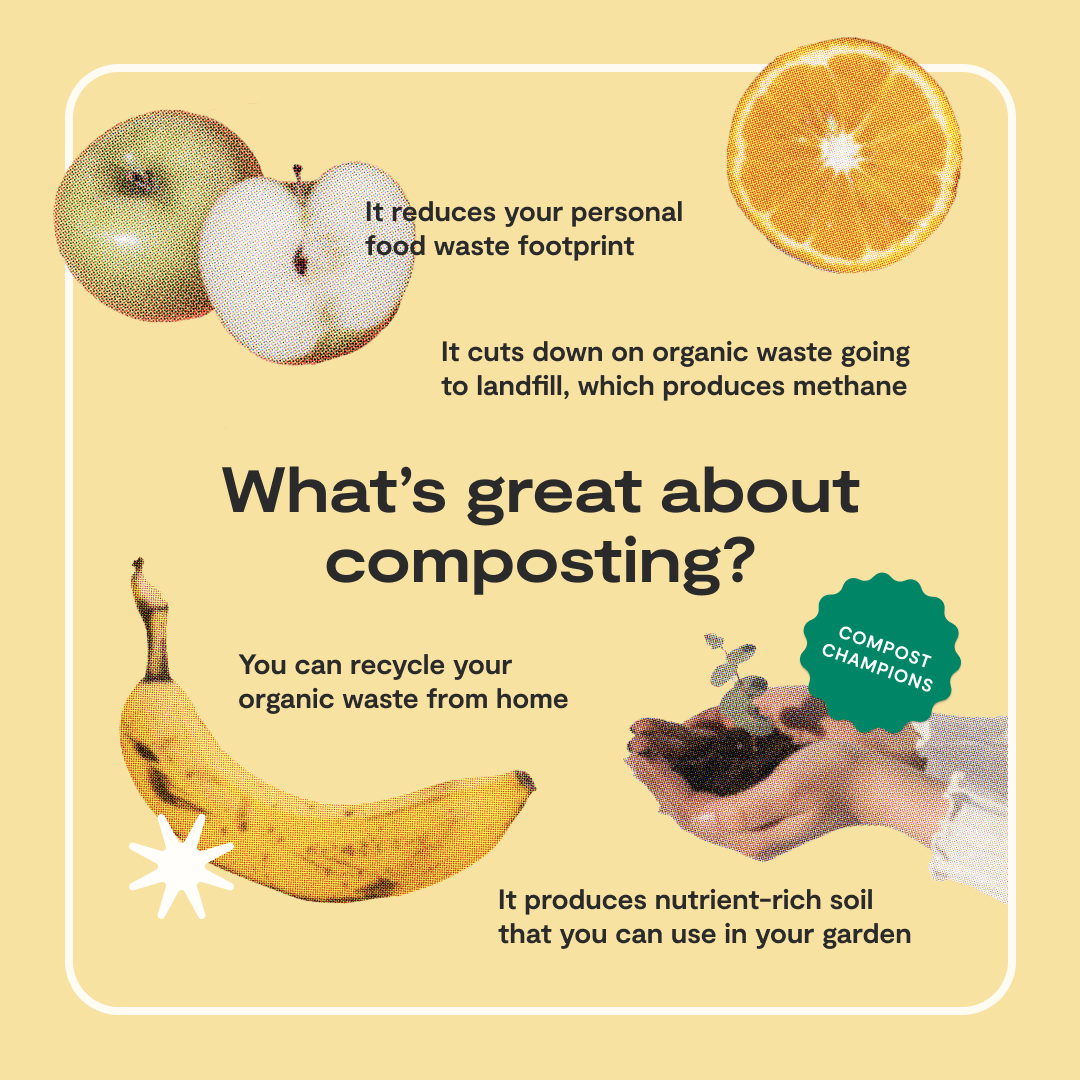 Composting leftovers can reduce food waste