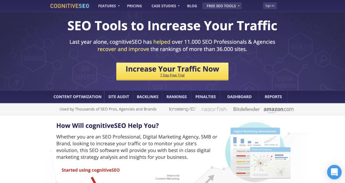 cognitiveSEO