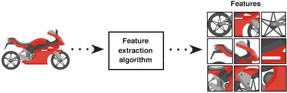 Feature extraction