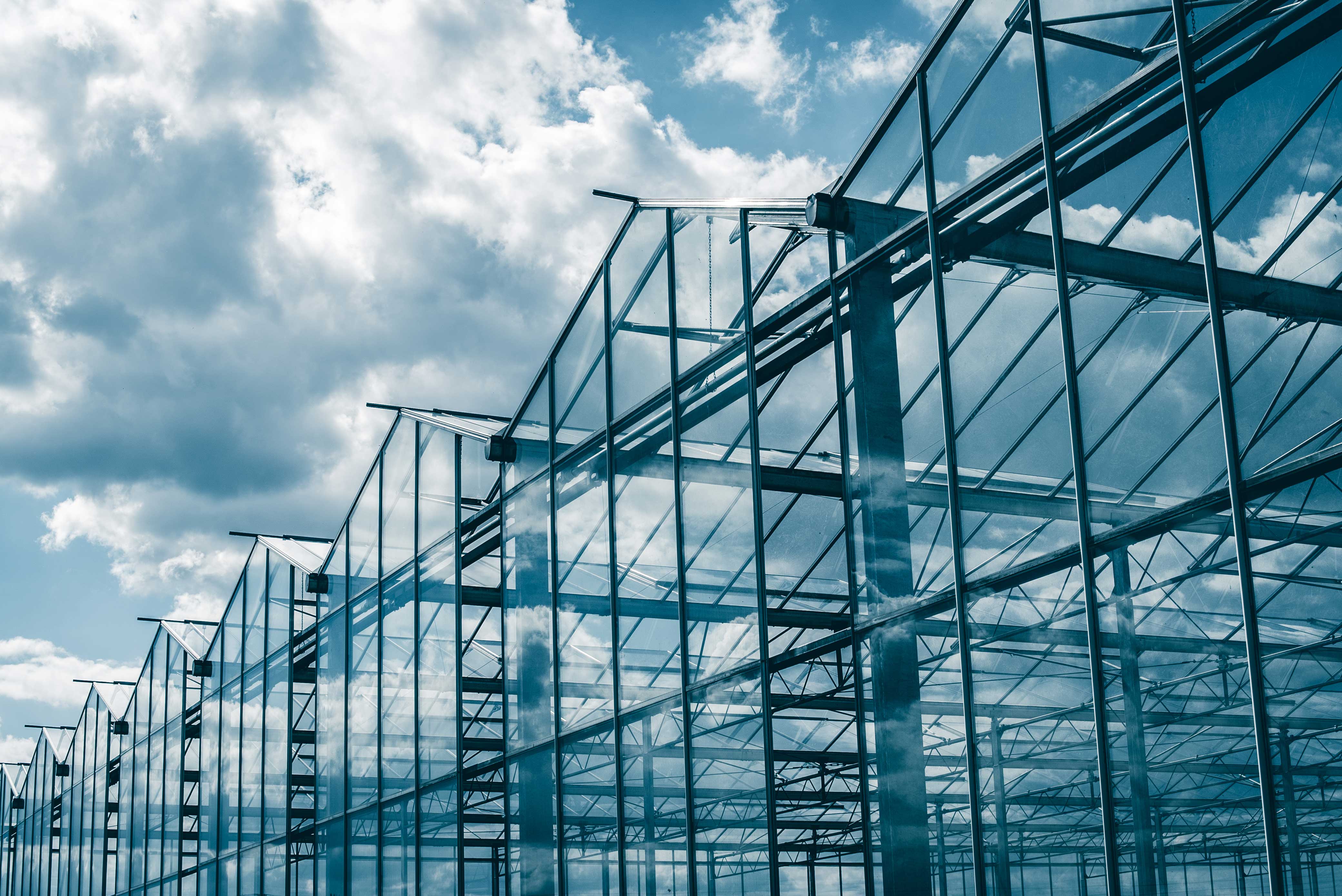 Global Daily Light Integral Guide for Greenhouses