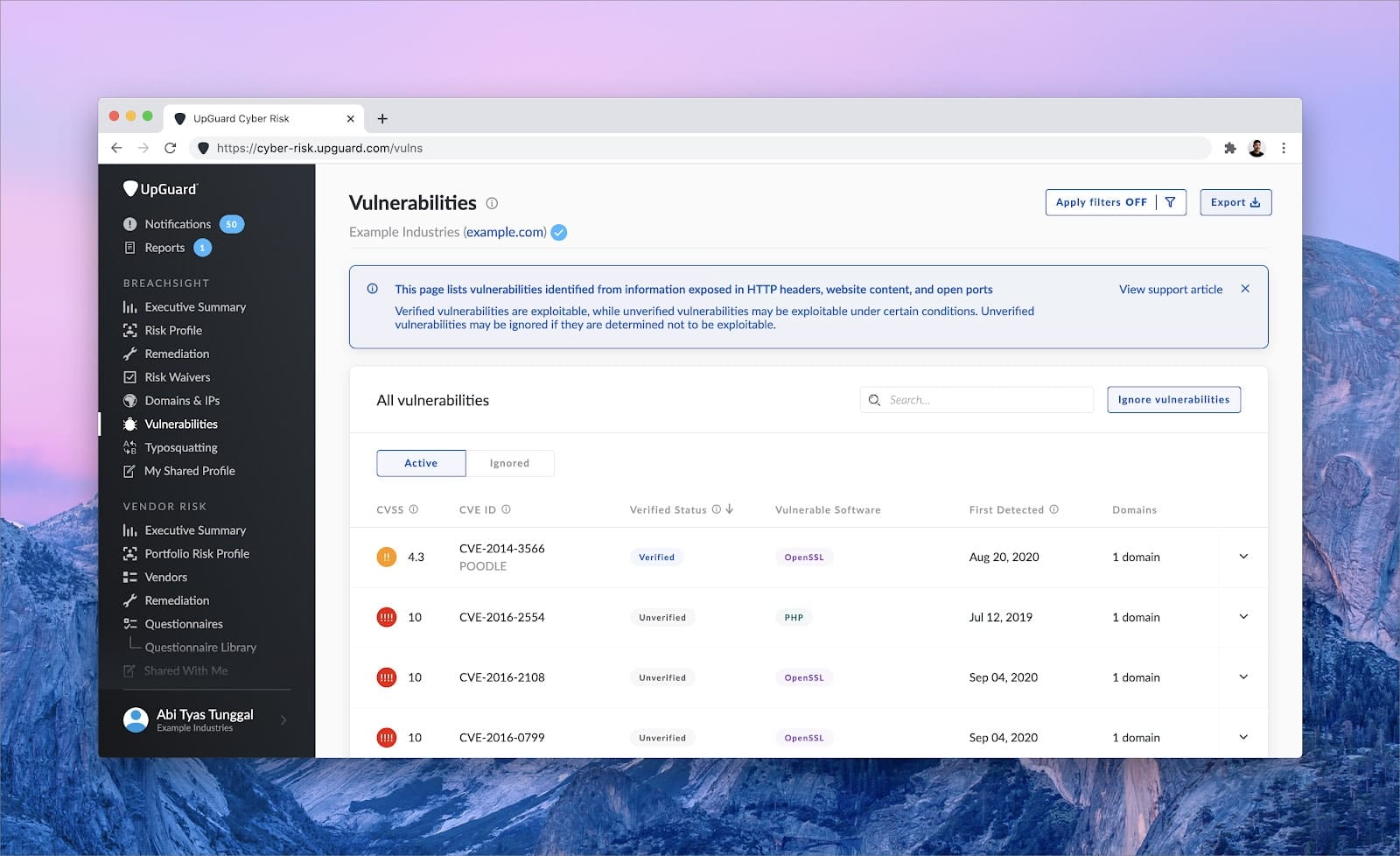 Improved vulnerability detection and management